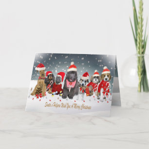 Pour Fêtes Annuelles Père Noël Canine Helpers Cartes