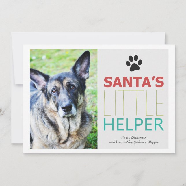 Pour Fêtes Annuelles Père Noël Helper - Pet Photo Vacances Cartes Plat (Devant)
