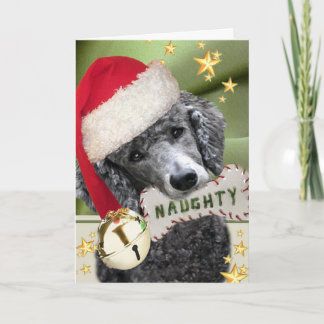 Pour Fêtes Annuelles Père Noël Poodle Naughty ou Nice Cartes