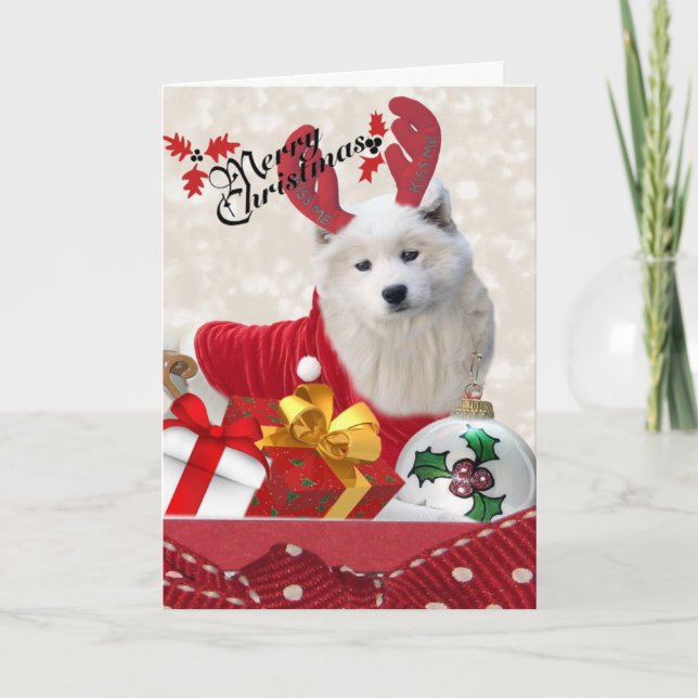 Pour Fêtes Annuelles Samoyed Reindeer Joyeuses Cartes de Noël (Devant)