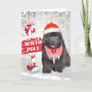Pour Fêtes Annuelles Terre-Neuve Puppy aime les cartes Père Noël
