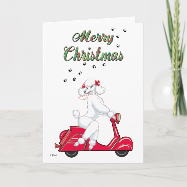 Pour Fêtes Annuelles Un caniche blanc sur les cartes de Noël du Scooter (Devant)
