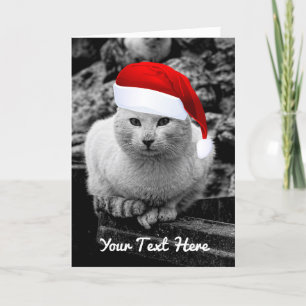 Pour Fêtes Annuelles Un chat noir et blanc avec des cartes de voeux de