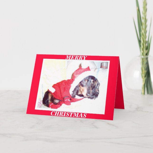 POUR FÊTES ANNUELLES X CARTES DE NOËL DE MAS - CHIOT DE HEIDI - (Devant)