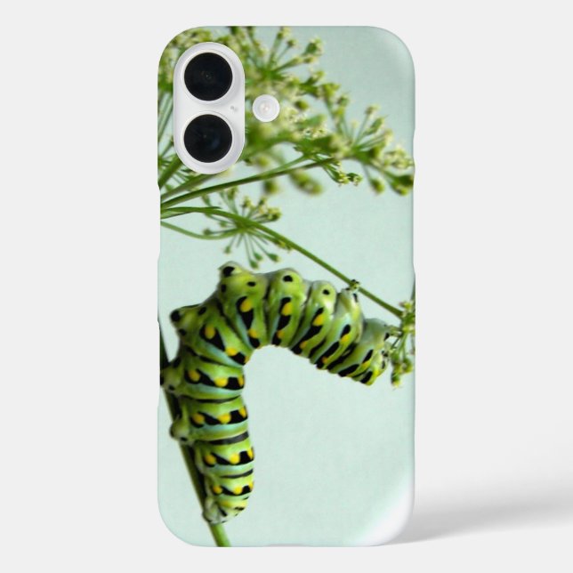 Pour iPhone 16 Black Swallowtail Caterpillar manger Coque persil (Verso)