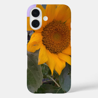 Pour iPhone 16 Coque tournesol
