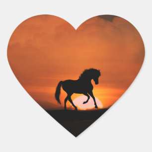 Pour L'Amour Des Stickers Cheval