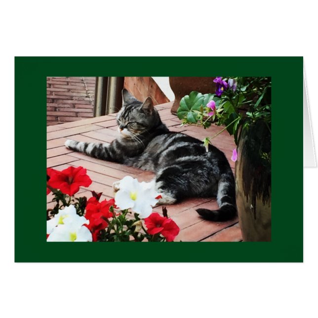 Pour les accros du monde entier ! (Devant horizontal)