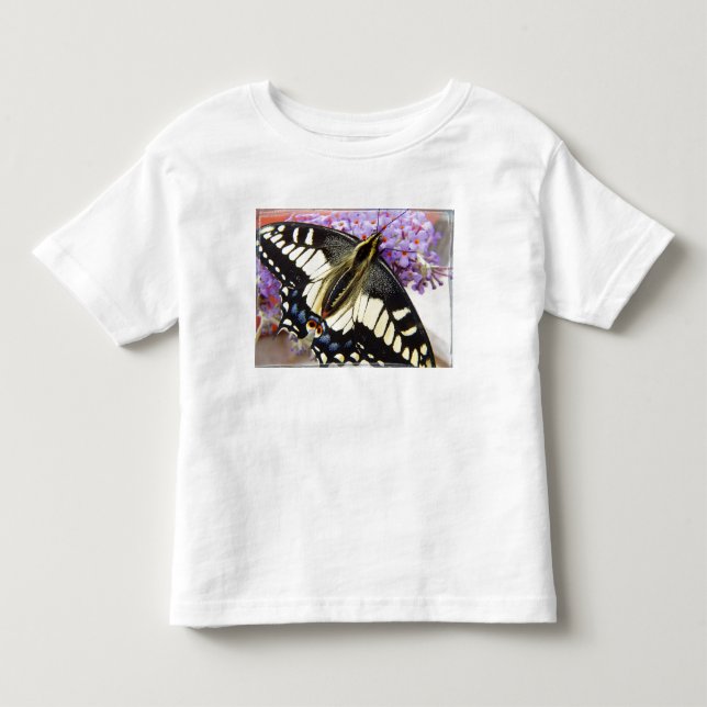 Pour Les Tous Petits T-shirt de papillon de machaon d'anis (Devant)