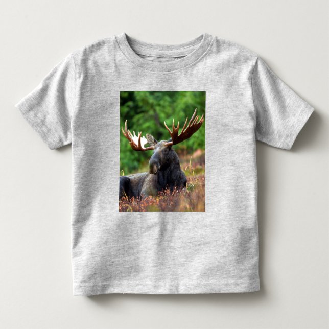 Pour Les Tous Petits T-shirt Moose Toddler (Devant)