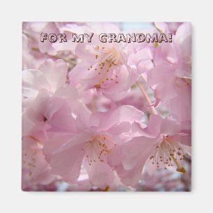 Pour ma grand-mère ! aimant Fleurs d'arbre rose Fl