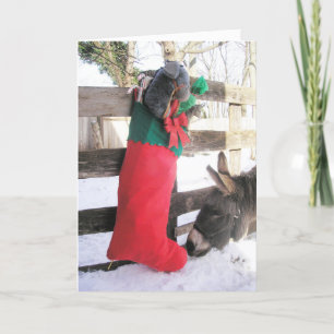 "Pour moi ?" Carte pour les fêtes