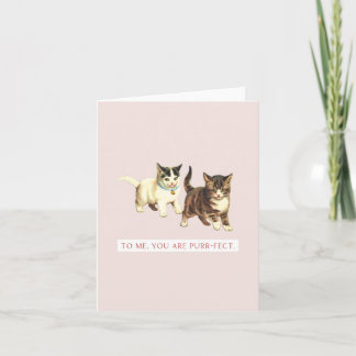 Pour moi, vous êtes Parfait-Antiquité Chat Carte d