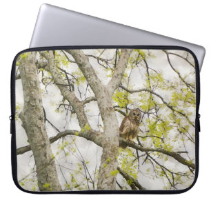 Pour Ordinateur Portable Chouette dans un arbre - Housse d'ordinateur porta