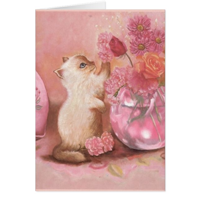 Pour toujours chaton (Devant)