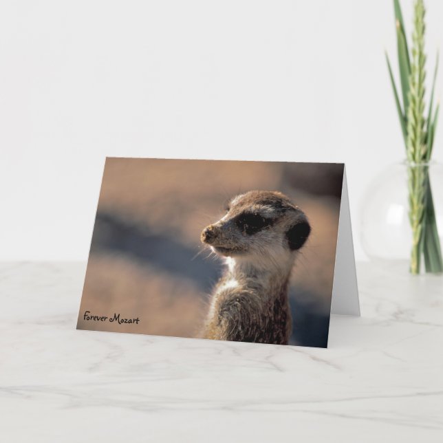 Pour toujours Mozart ! Carte de voeux (Devant)