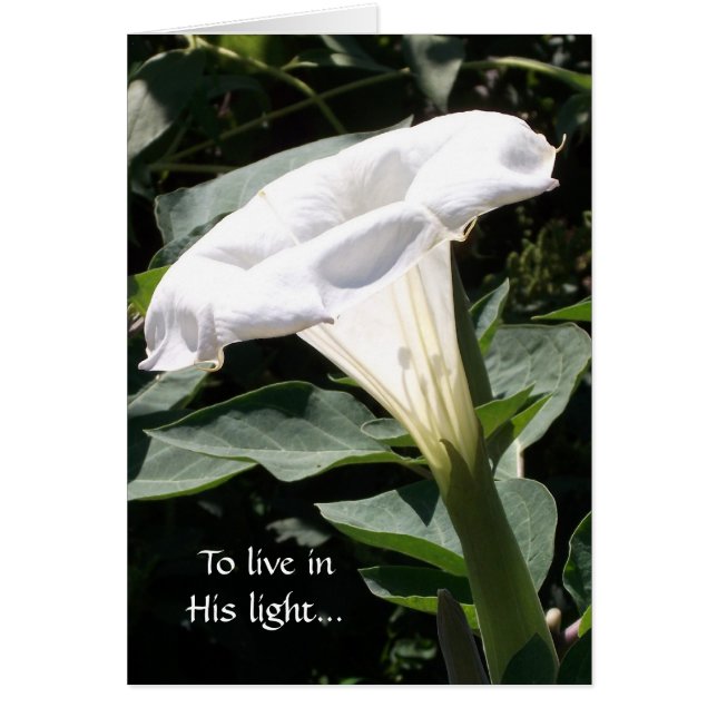 Pour vivre dans sa lumière (Devant)
