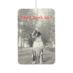 Pour Voiture Désodorisant personnalisé de photographie de chien