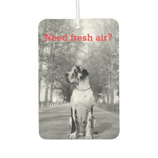 Pour Voiture Désodorisant personnalisé de photographie de chien