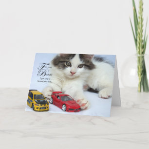 Pour vos cartes d'anniversaire (chat)