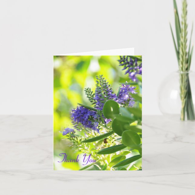 Pourpre de fleurs sauvages, Merci (Devant)