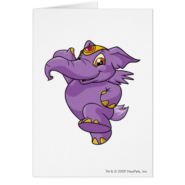 Pourpre d'Elephante (Devant)