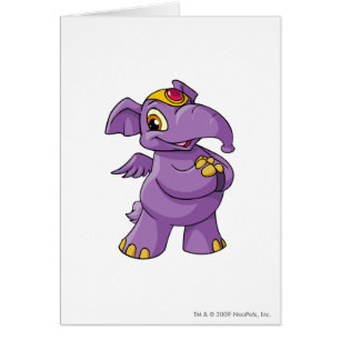 Pourpre d'Elephante