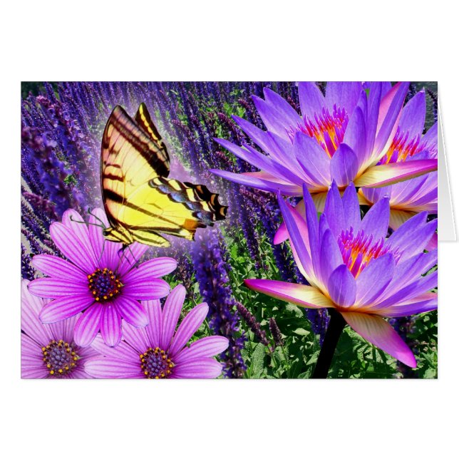 Pourpres en nature (Devant horizontal)