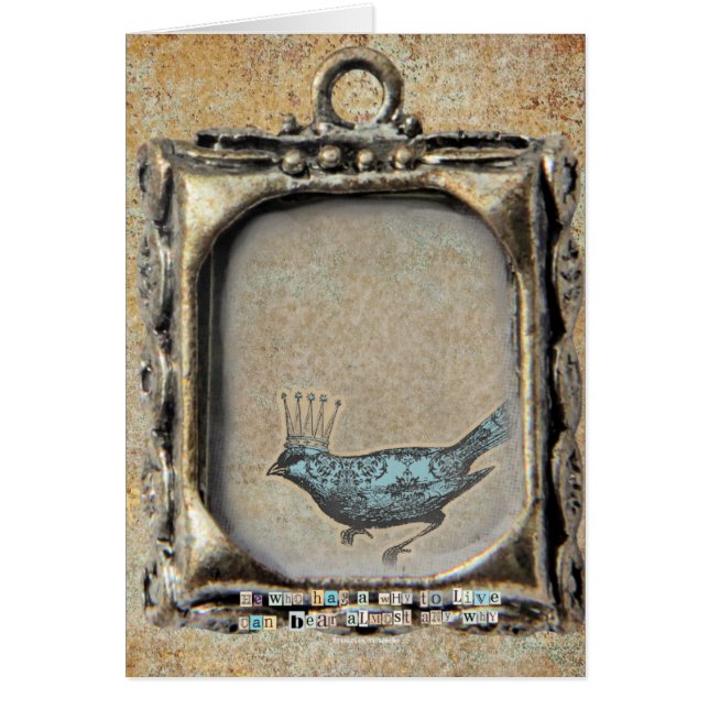 Pourquoi Bird, Anniversaire (Devant)