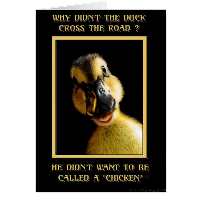 Pourquoi le canard n'a pas traversé la route (Devant)