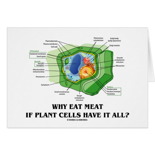 Pourquoi mangez de la viande si les cellules de (Devant horizontal)