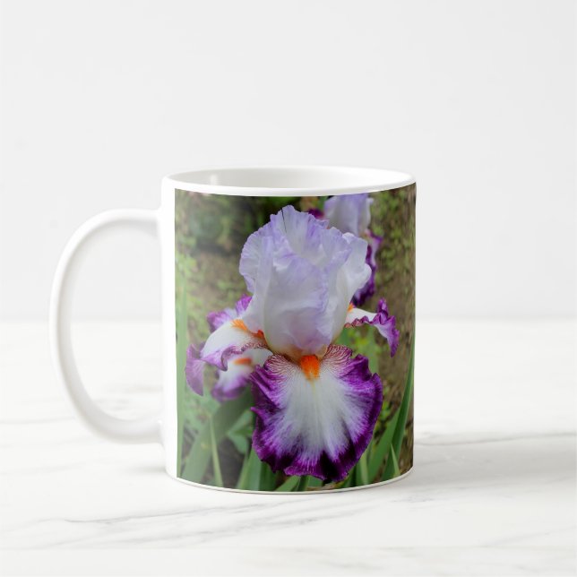 Poussée, Lavande et Mug d'Iris blanc (Gauche)
