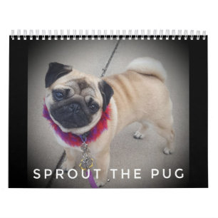 Poussez le calendrier 2019 de carlin