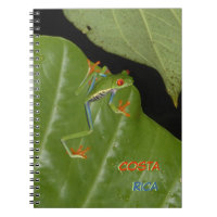 Poussière De Grenouille Rouge Jaune. Carnet texte