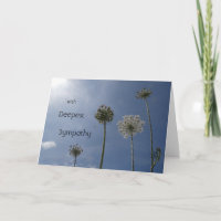 Poussière Fleur sauvage blanche. Carte de voeux Sy