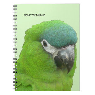 Poussière Lorikeet Verte. Carnet de couleurs Texte