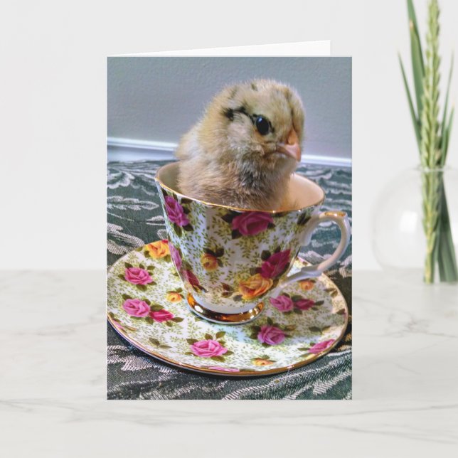 Poussin de bébé dans une carte de voeux de tasse (Devant)