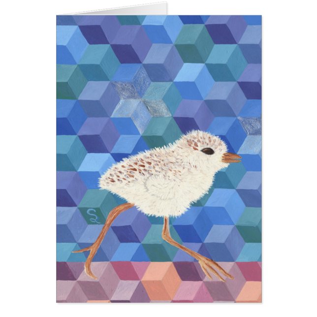 Poussin de pluvier de Milou (Devant)