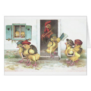 Poussins au professeur d'école et de coq