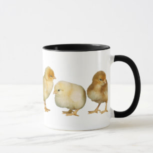 poussins croisant la tasse