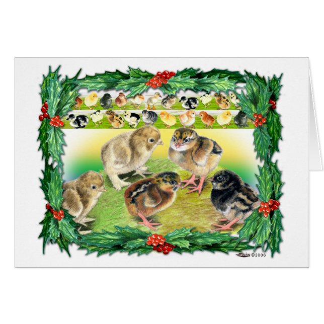Poussins de Noël (Devant Horizontal)