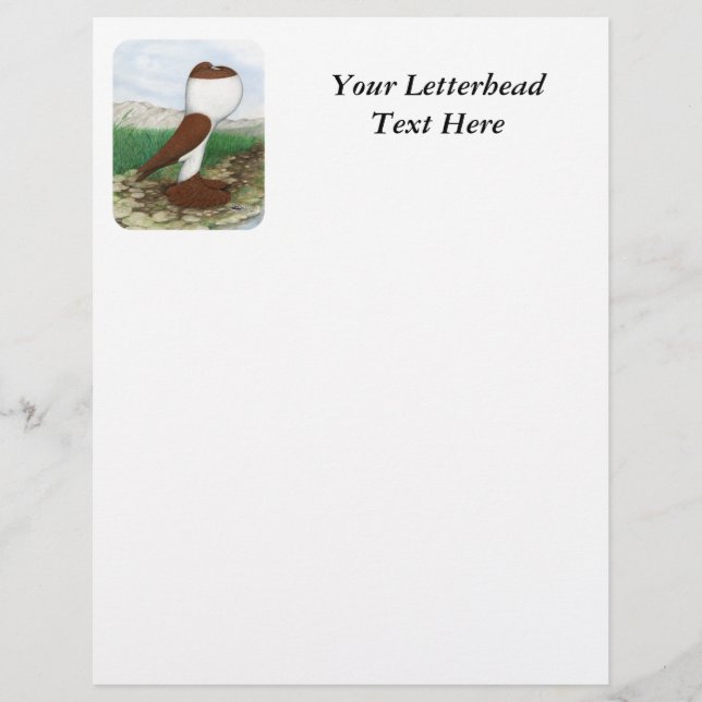 Pouter Pigeon Red Hana (Devant)