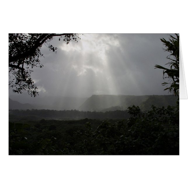 Poutres lumineuses (Devant horizontal)