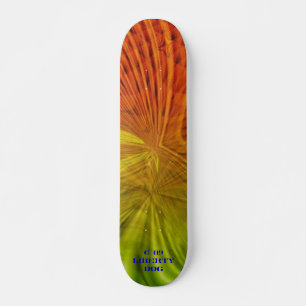 POUTRES LUMINEUSES NEON PRO SKATEBOARD FUN ENFANTS