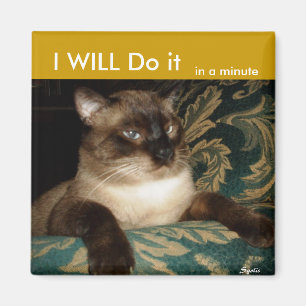 Pouty Siamese Réfrigérateur de chat Magnet