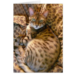 Pouvez-vous me voir ?