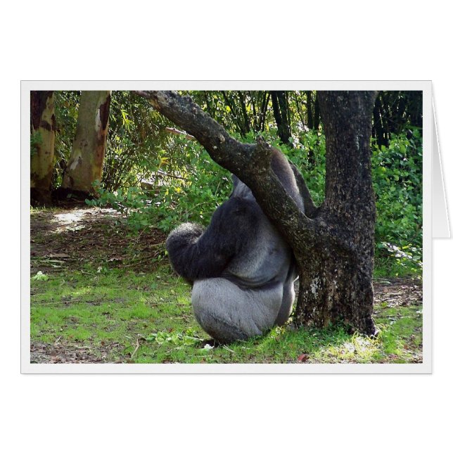 "Pouvez-vous me voir maintenant ?" (Devant horizontal)