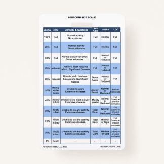 PPS / KPS Badge Buddy for Hospice Nurice Nurice