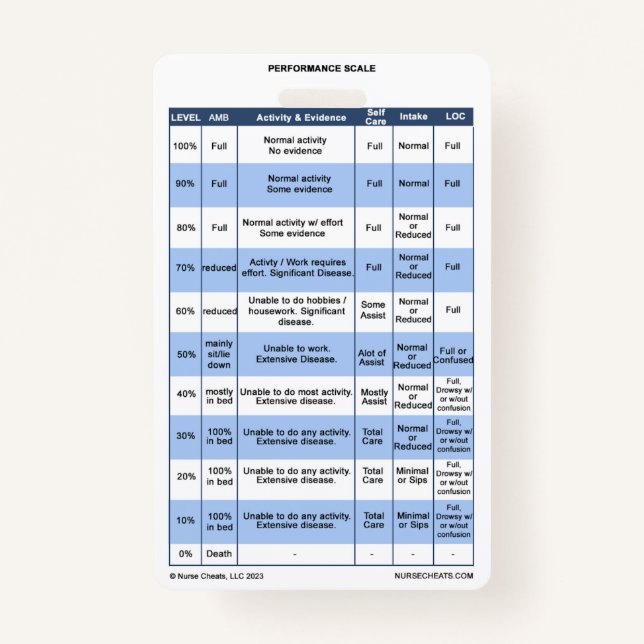 PPS / KPS Badge Buddy for Hospice Nurice Nurice (Devant)
