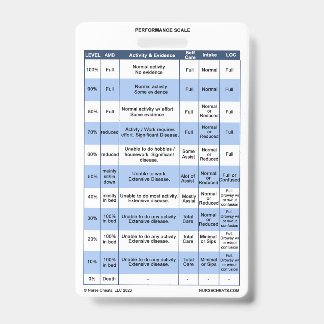 PPS / KPS Badge Buddy pour les infirmières en soin